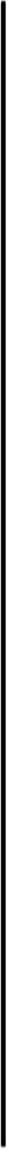 Black vertical line